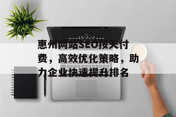 惠州网站SEO按天付费，高效优化策略，助力企业快速提升排名